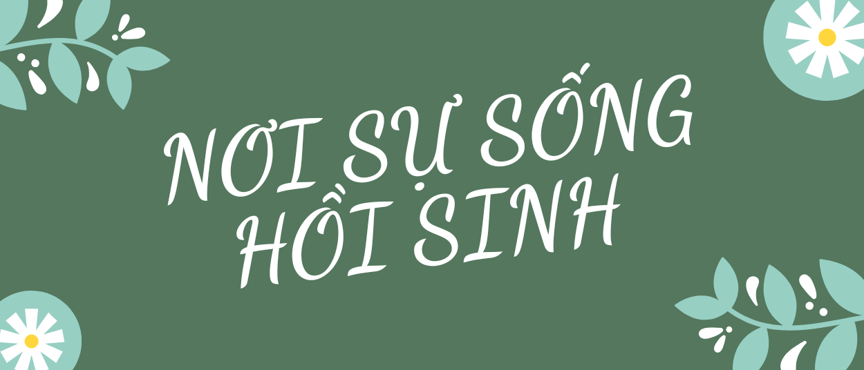 banner2